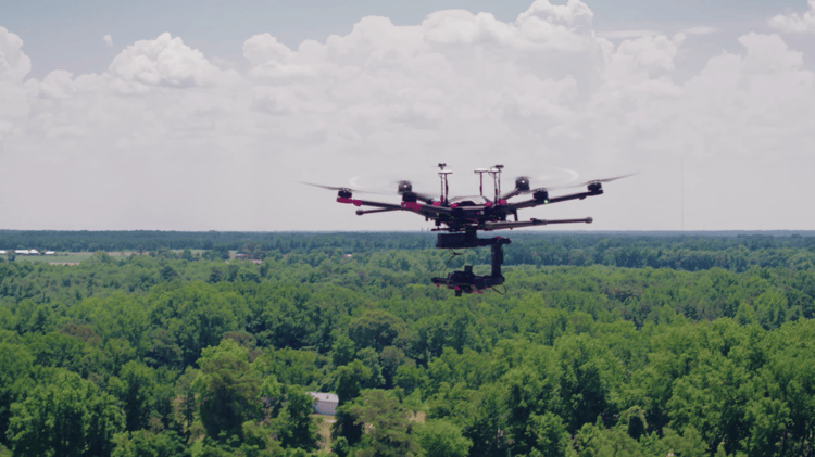 drone hovering over treeline