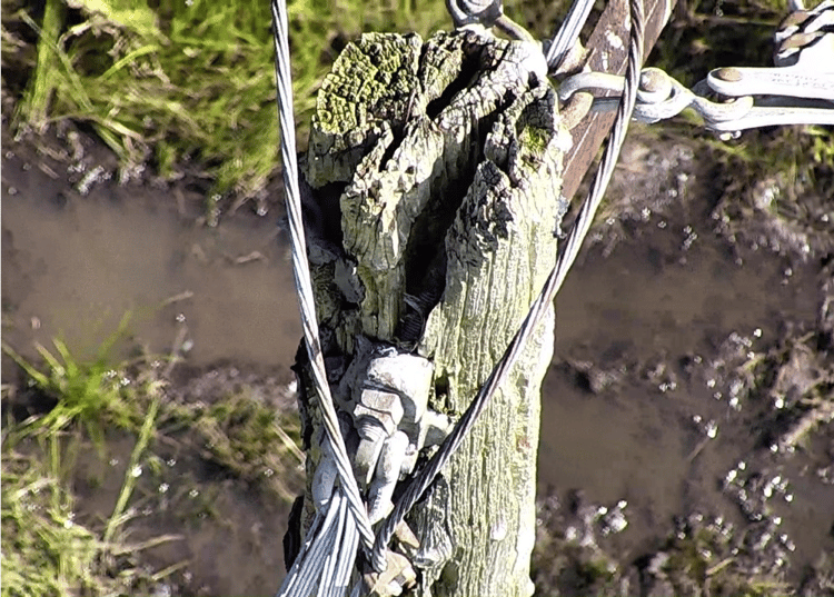 top-down view of damaged pole
