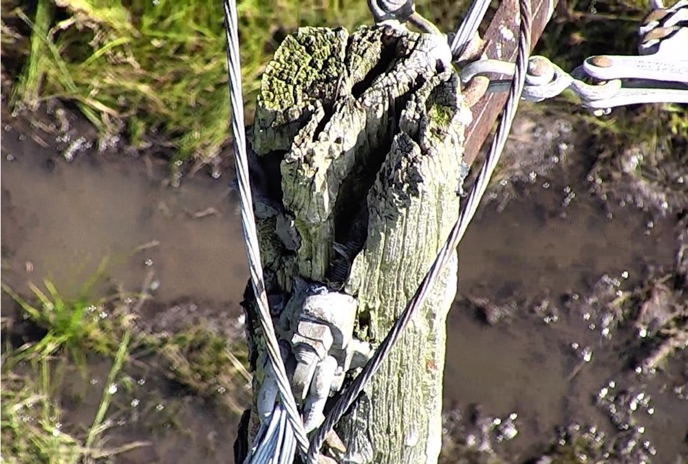 damaged-pole