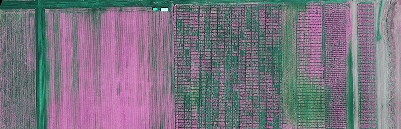 Hyperspectral Sensor Output