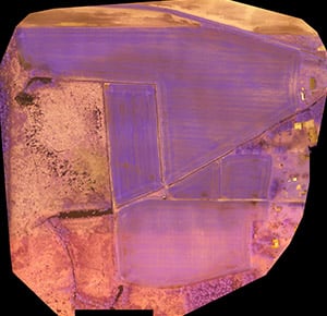 Multispectral Sensor Output