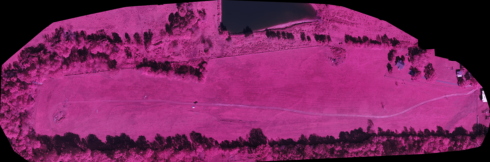 Multispectral Sensor Output